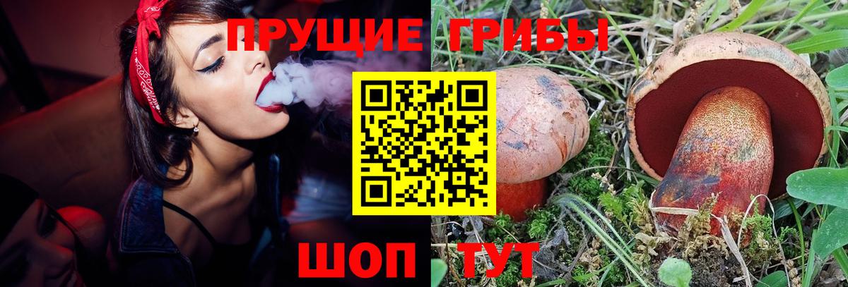 где продают наркотики  Псилоцибиновые грибы Magic Shrooms  Кызыл  Вход с VPN  Псилоцибиновые грибы MAGIC MUSHROOMS 